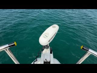 ヤンマー FX24EZ-IK