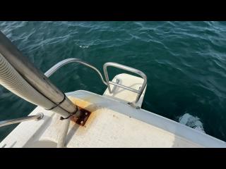 ヤンマー FX24EZ-IK