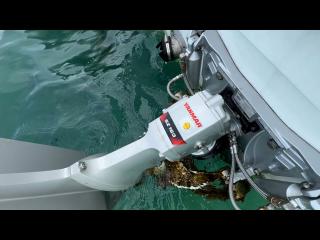 ヤンマー FX24EZ-IK