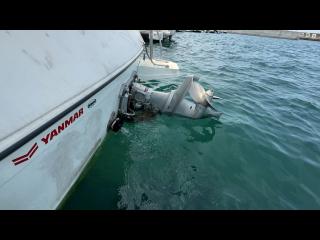 ヤンマー FX24EZ-IK