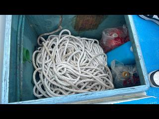 ヤマハ DY39J(GF1)カスタム