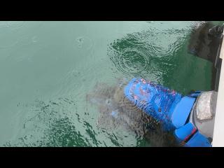 ヤマハ UF-28(GEO)