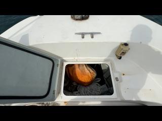 ヤンマー FX27Z-IS