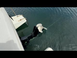 ヤンマー FX27Z-IS