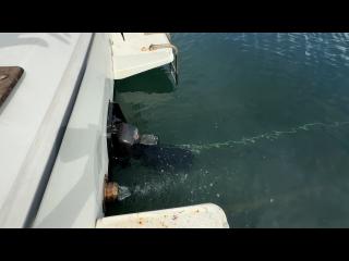 ヤンマー FX27Z-IS