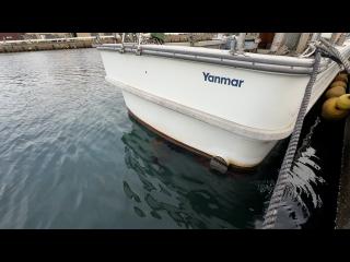 ヤンマー はやかぜEX38V