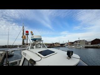 ヤンマー はやかぜEX38V