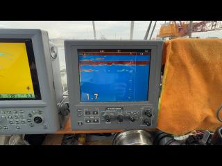 ヤンマー はやかぜEX38V