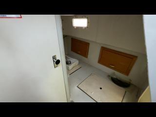 ヤンマー はやかぜEX38V