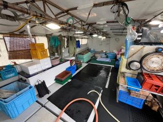 柏木造船 71f(16t)大型漁船