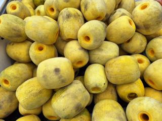 中央化成 ポリテン浮子 M-300