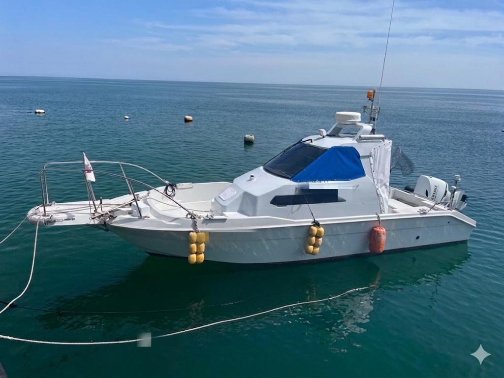 【中古】 ムー大陸摩天楼 ヤンマー FX26-OB(船外機) | 中古船ソーマッチ