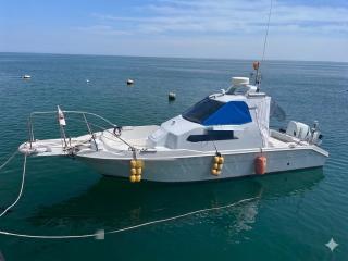 ヤンマー FX26-OB(船外機)