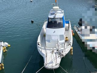 ヤンマー FX26-OB(船外機)