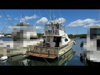 ビデック スーパーフィッシャー58