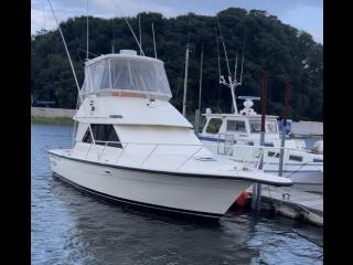 フェニックスフリート フェニックス37コンバーチブル