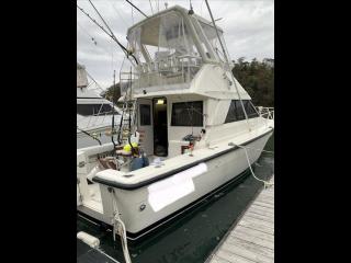 フェニックスフリート フェニックス37コンバーチブル