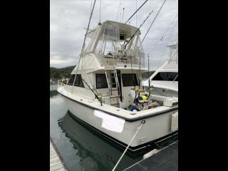 フェニックスフリート フェニックス37コンバーチブル