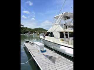 フェニックスフリート フェニックス37コンバーチブル