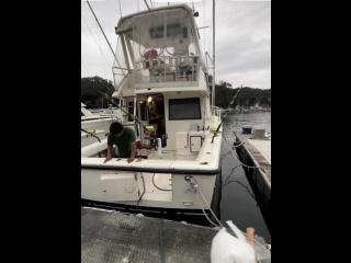 フェニックスフリート フェニックス37コンバーチブル