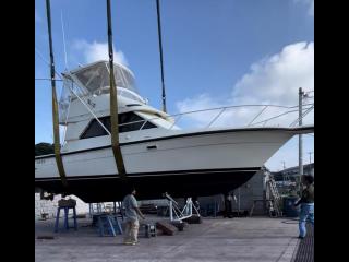 フェニックスフリート フェニックス37コンバーチブル