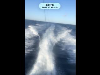 フェニックスフリート フェニックス37コンバーチブル