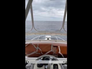 フェニックスフリート フェニックス37コンバーチブル