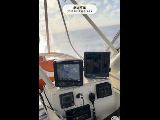 フェニックスフリート フェニックス37コンバーチブル