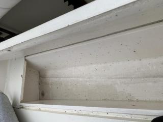 フェニックスフリート フェニックス37コンバーチブル