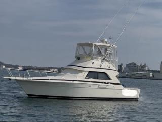 バートラム バートラム37コンバーチブル