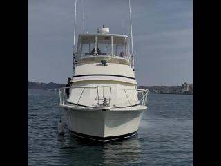 バートラム バートラム37コンバーチブル