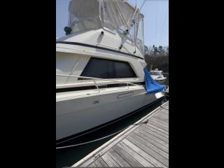 バートラム バートラム37コンバーチブル