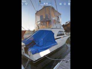 バートラム バートラム37コンバーチブル