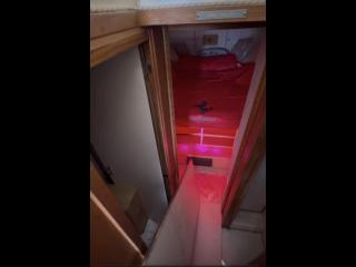 バートラム バートラム37コンバーチブル