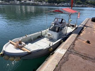 ヤンマー はやしおDE24B