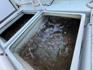 ヤンマー はやしおDE24B