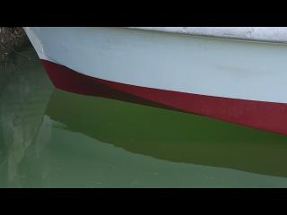 ヤマハ DY32