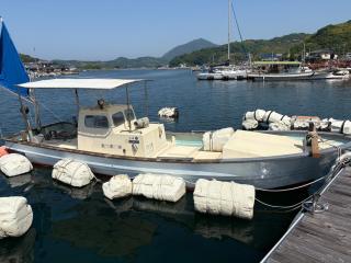 ヤンマー DE27