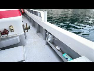峯造船所 MS-50V