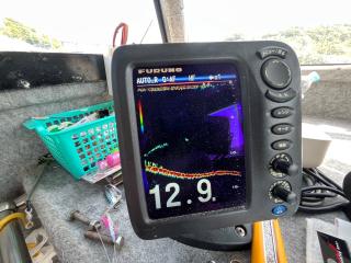 ヤマハ DY34(GBW-B)