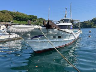ヤマハ DY34(GBW-B)