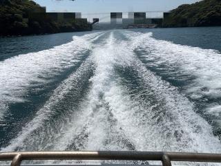 ヤマハ DY34(GBW-B)