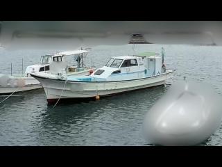ヤンマー DA38BF
