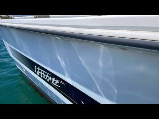ヤンマー はやかぜEX26B-BK