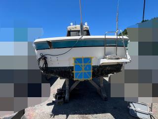 ヤマハ UF28(GEO)