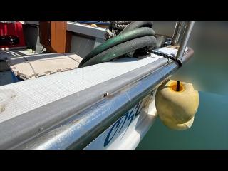 ヤンマー あらしおDE29BF