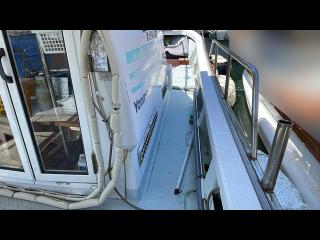 ヤンマー あらしおDE29BF