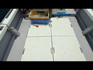 ヤンマー はやしおDE27D