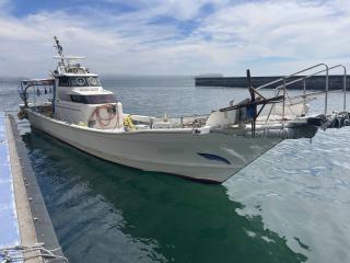 ヤマハ DY50B-2A