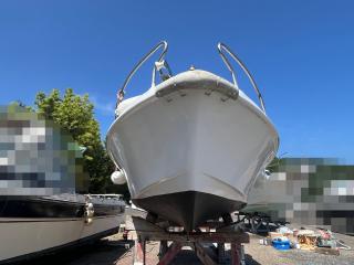 ヤマハ FISH17B